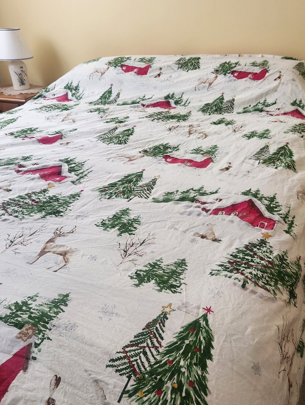 Tatum Pines Duvet Cover Queen Cabin Plaid Home Bedding Reversible 88 x 94